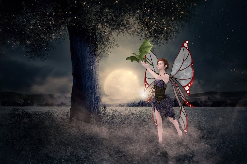 Fairy Garden