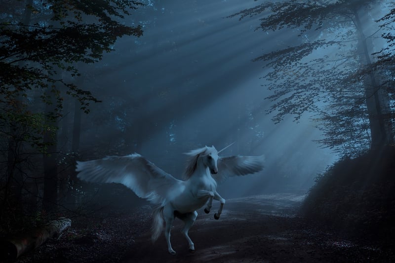 Fantasy Unicorn Landscape