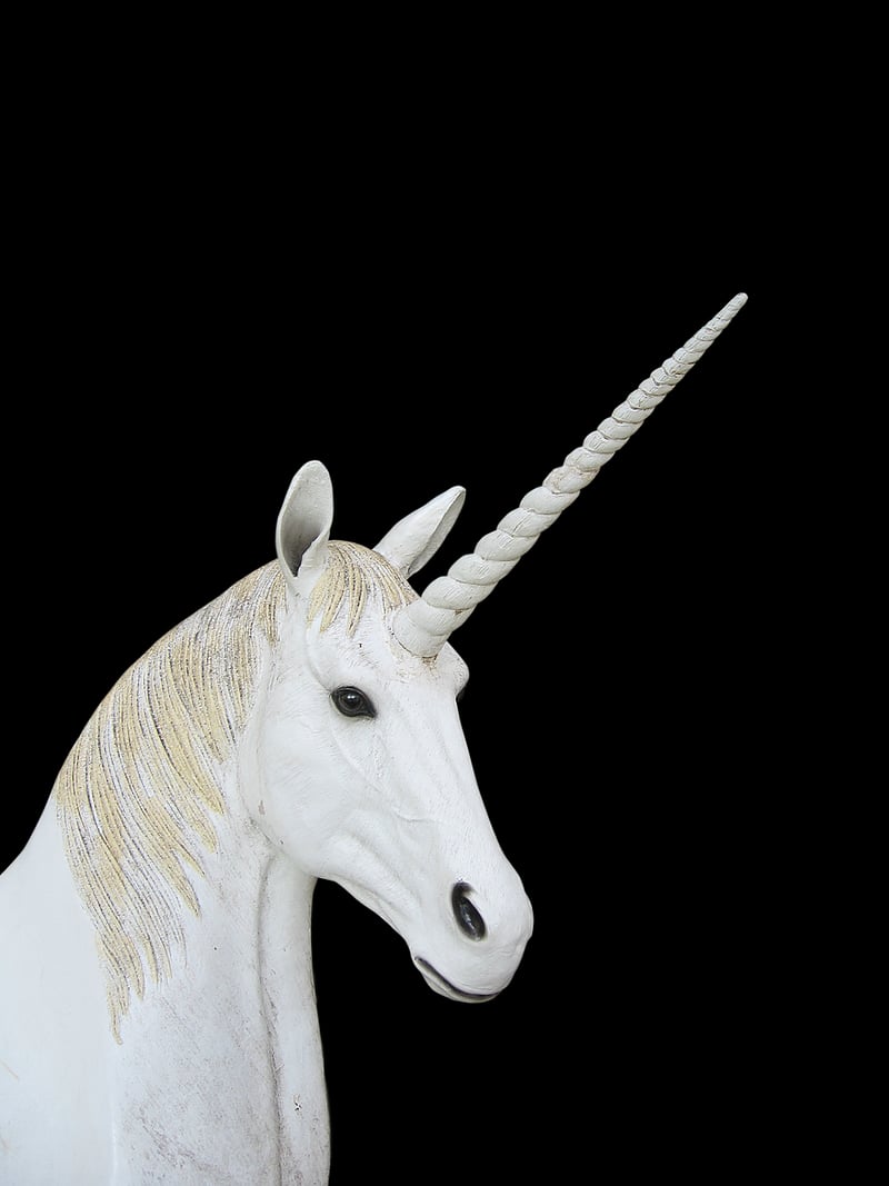 Unicorn Horn Succulent
